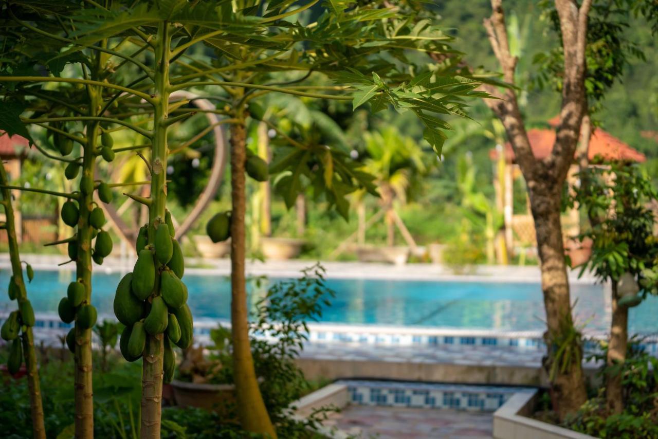 Tan Dinh Farmstay ニンビン エクステリア 写真