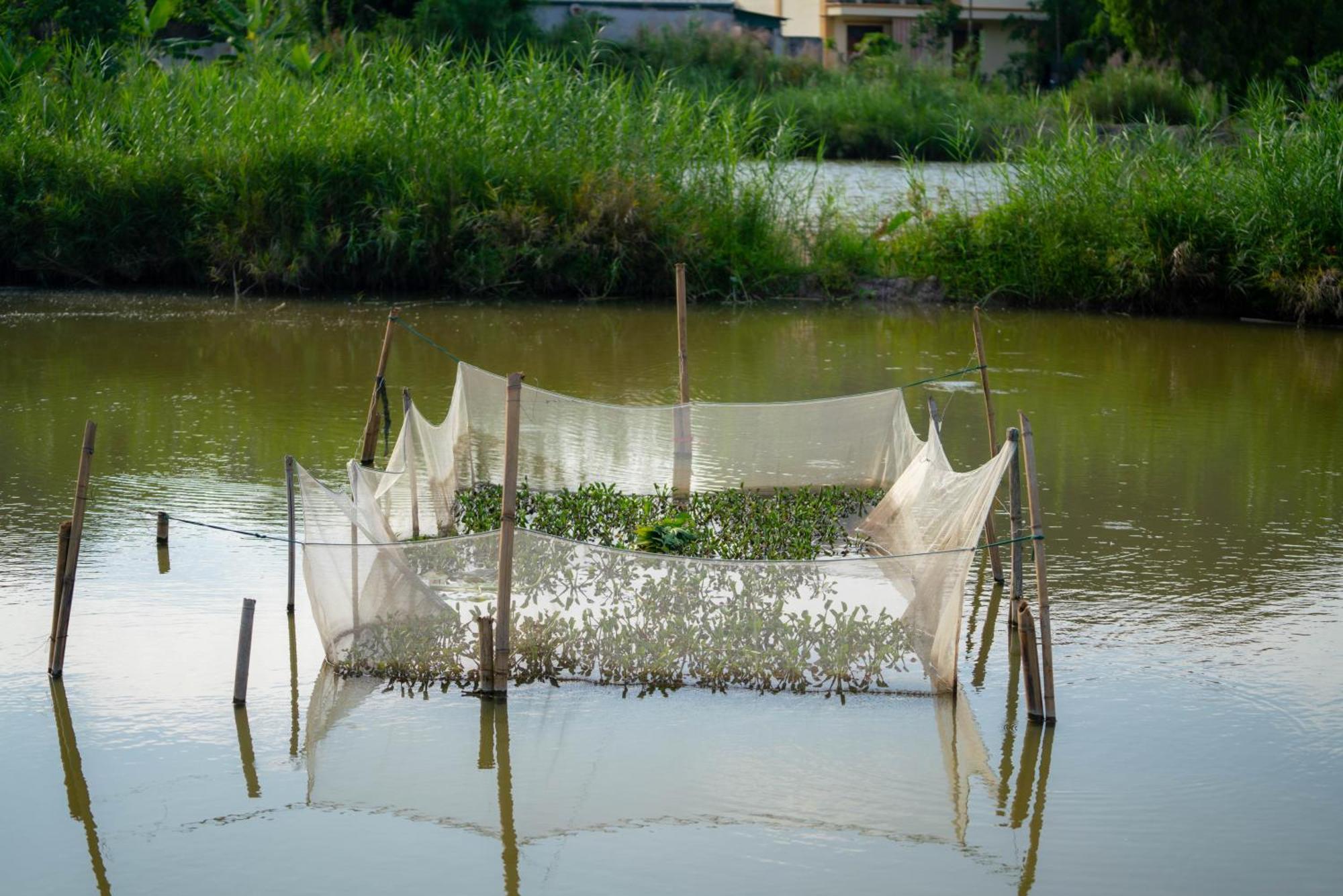 Tan Dinh Farmstay ニンビン エクステリア 写真